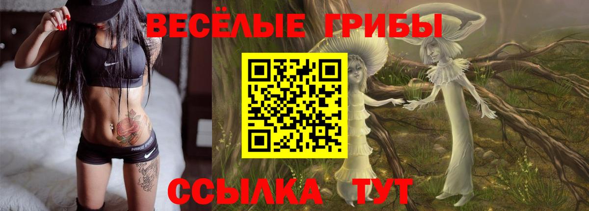 Псилоцибиновые грибы Magic Shrooms  Галлюциногенные грибы ЛСД  Вход с VPN  закладки  Великий Новгород 