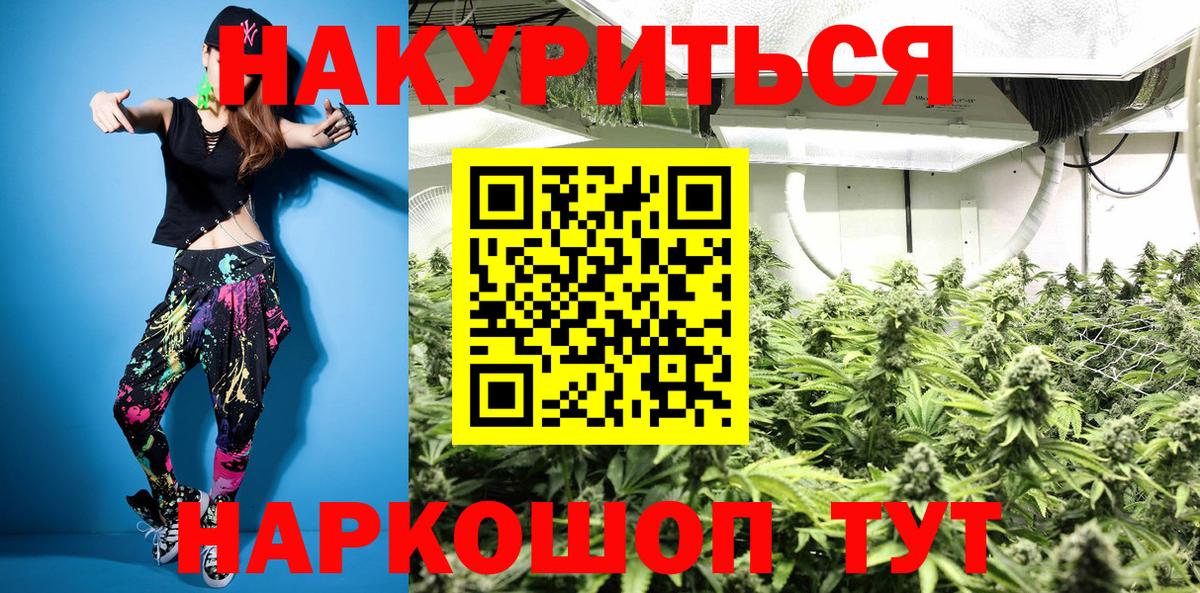 Каннабис индика  Конопля план  Вход с VPN  Великий Новгород  Шишки марихуана Ganja  Шишки марихуана Bruce Banner 